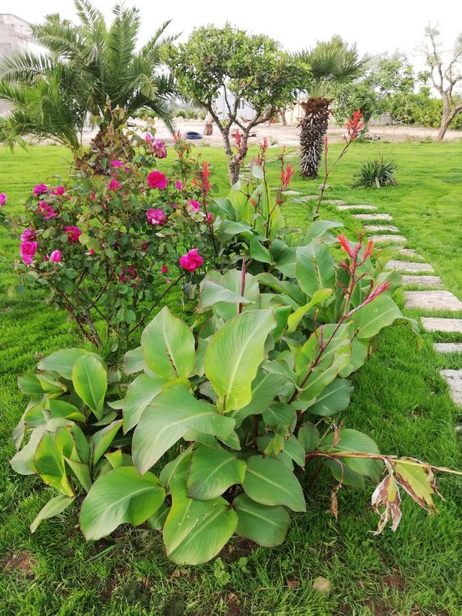 Il Giardino Dei Tramonti Bed & Breakfast Nardo Ngoại thất bức ảnh